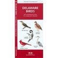 Waterford Press Delaware Birds Book: An Introduction to Familiar Species State Nature Guides WFP1583552223